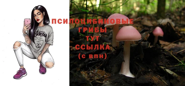 спайс Алексеевка